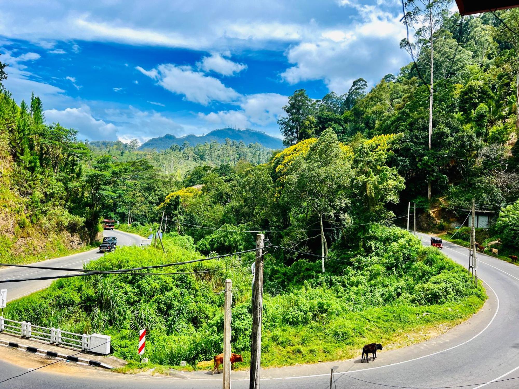 Pineview Lodge เอลลา ภายนอก รูปภาพ