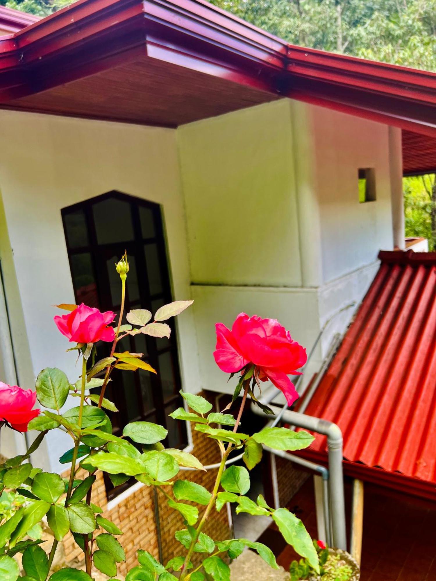Pineview Lodge เอลลา ภายนอก รูปภาพ